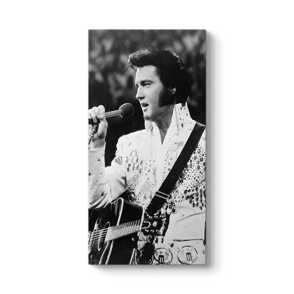Elvis Presley - My Way Tablosu - Model 7
